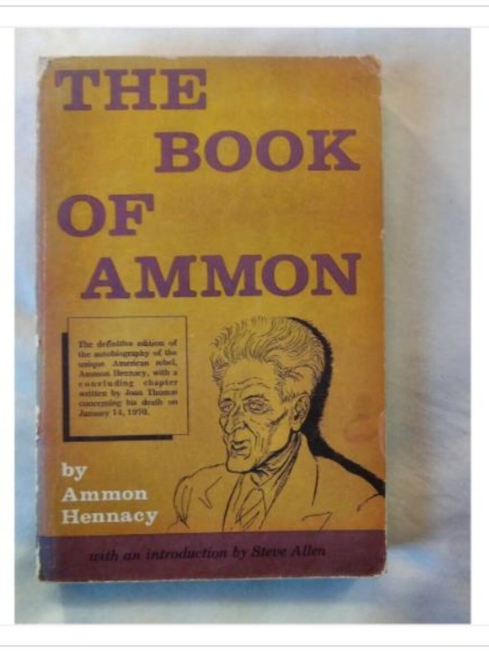 The Book of Ammon Ammon Hennacy 1970 Fifth Printing Paperback Vintage Novel
